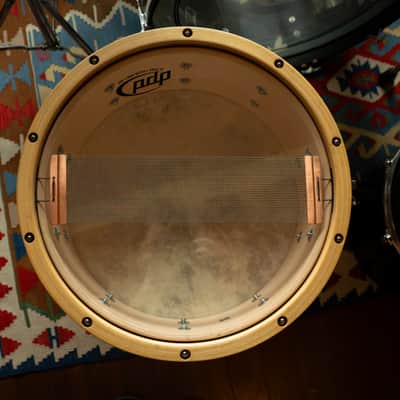 Pacific SX Series w/ Maple Hoop, 5.5x14" 10 lug Snare Drum image 4