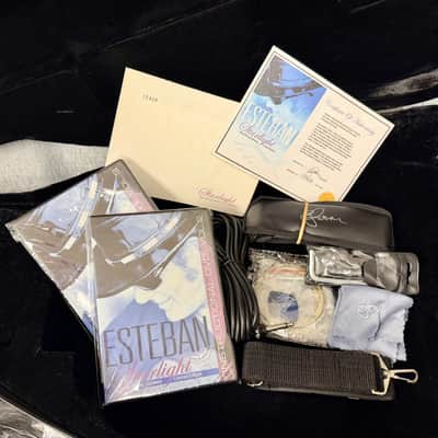 Estaban American Legacy Starlight Limited Edition Blue Sparkle Mid 2000’s - Blue Sparkle image 11