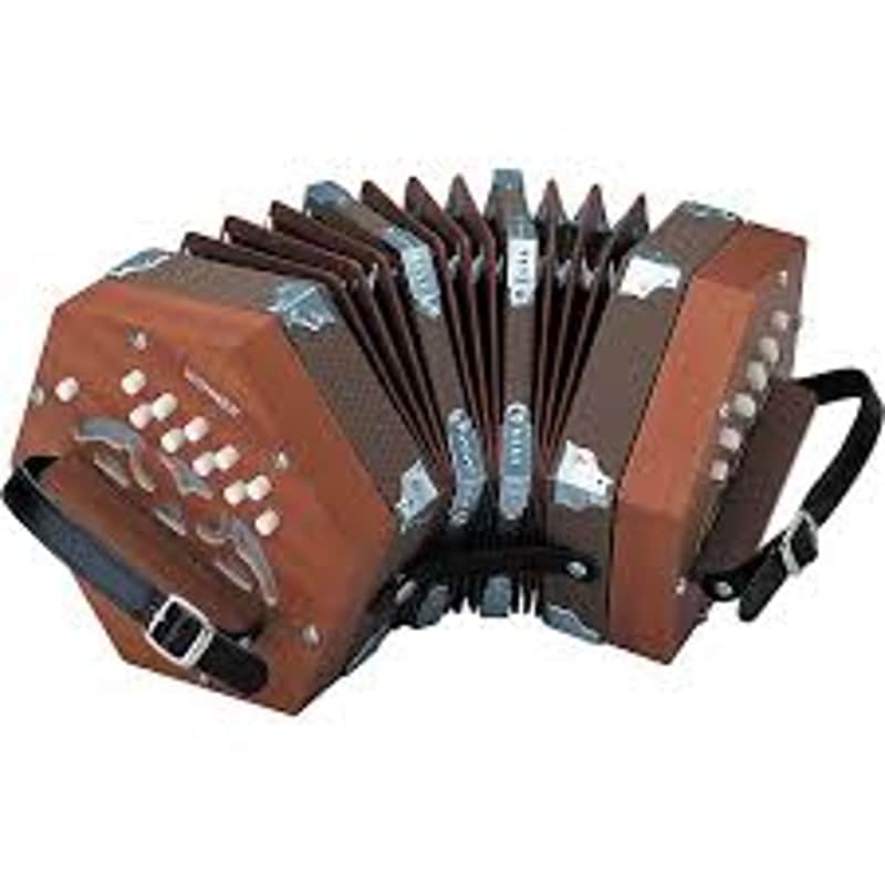 Hohner D40/20 Button Concertina Accordion G/C Keys Natural, Excellent Condition Includes Case & Ships Ultra Fast ! image 1