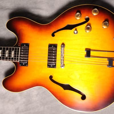 Immagine Epiphone Riviera E 360 TD 1967 - Sunburst - 7