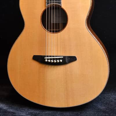 Baden - American Made TJ Baden Guitar Madagascar image 4