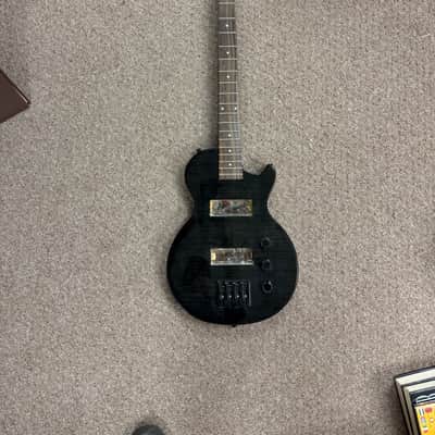 Epiphone Les Paul Bass - Translucent Black PROJECT image 1