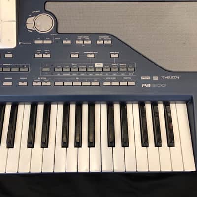 Immagine Korg PA800 - 4