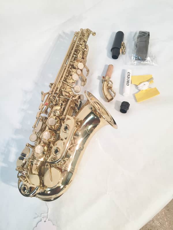 Musikwerks Curved Bb Soprano Saxophone in Gold Lacquer-New-w/Case and Extras! image 1