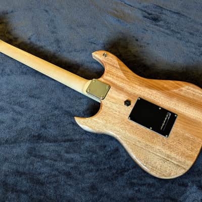Modugno X2 Apprentice | LED Guitar | Made-To-Order In Texas, USA image 5