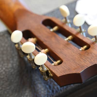 2020 Taylor GC8 Natural Acoustic/ Electric Grand Concert Guitar + OHSC image 19