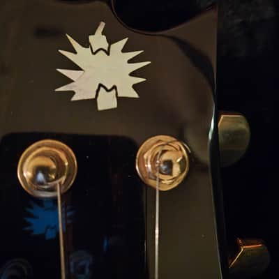 Resurrection Custom Guitars Eagle - Jerry Garcia image 10