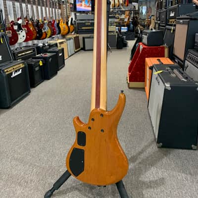 Roscoe 6-String Fretless "Jon Jon" Signature Rasta Bass image 12
