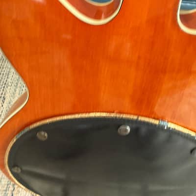 Gretsch 1969 6120 Nashville Hollow Body image 20