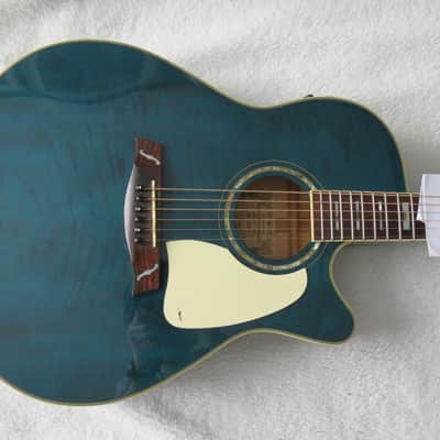IBANEZ Paul Gilbert Acoustic PGA 1000 | Reverb