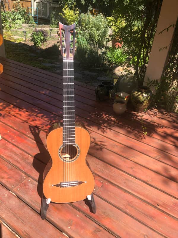 Traphagen guitar Classical/Early Romantic 2023 image 1