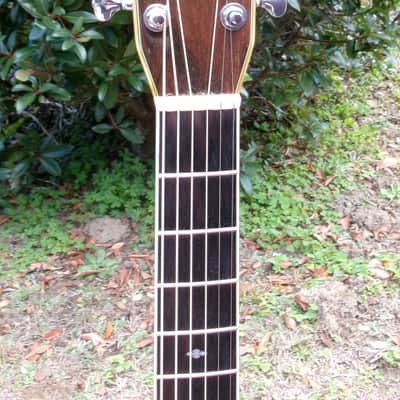 1982 Yairi D 35 YW-500P - Bargain! image 5