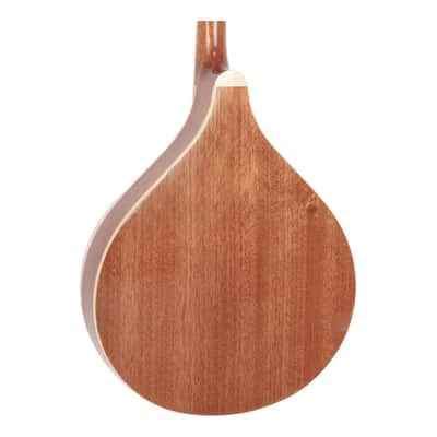 Gold Tone OM-800+ Octave Mandolin - Open Box image 7