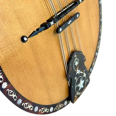 Umberto Ceccherini Mandola / Octave Mandolin (Giovanni Palladino Label) 1896 image 7