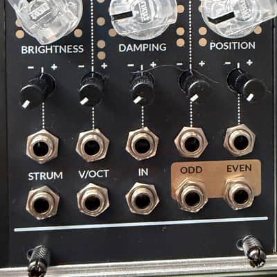 Mutable Instruments Rings Eurorack Resonator | Reverb