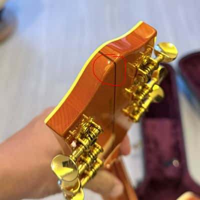 Gretsch Eddie Cochran G6120 Signature Hollow Body image 5