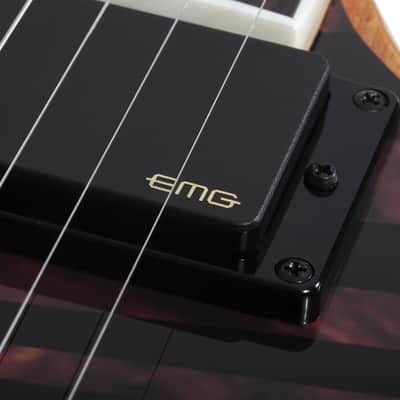 Wylde Audio Wrathmaker Tortoise Shell Corridors image 10