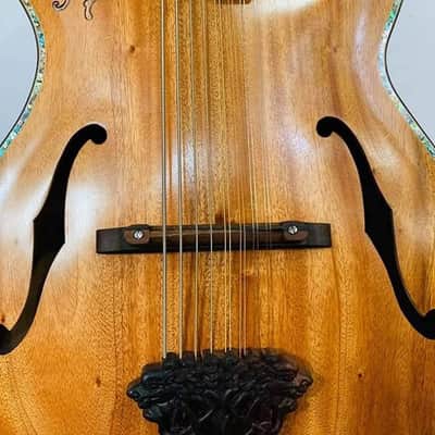Blueberry Handmade Mandolin Grand Twelve String Built to Order image 2
