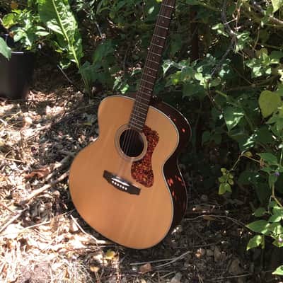 Guild Westerly Collection F-240E 2021 - Present - Natural image 4