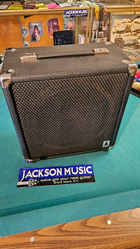 EarCandy Shirley 20W 1x12 Compact With Warehouse Speaker image 1