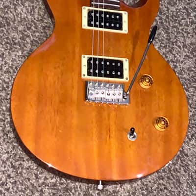 PRS SE Santana Standard Tortoise Shell electric guitar image 7