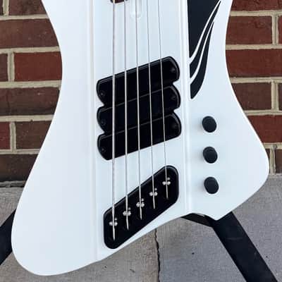 Dingwall D-Roc Standard 5-String, Matte Ducati Pearl White, Pau Ferro Fretboard, Dingwall Gig Bag image 2