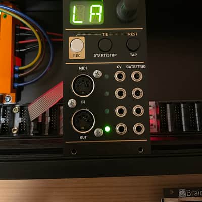 Mutable Instruments Yarns (clone) 2024 - Black image 4