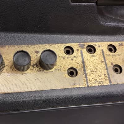 Magnatone M10 Custom Series 2-Channel 38-Watt 1x8" Guitar Combo with 3" Tweeter 1960s, Reverb Vibrato image 6
