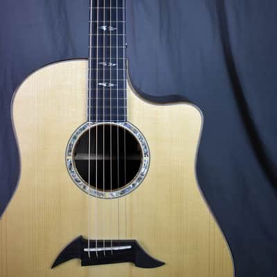 2010 Breedlove Special Edition Focus D image 1