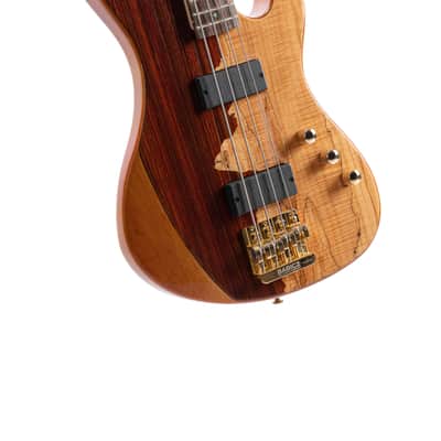 Cort Jeff Berlin Series Rithimic NAT Spalted Maple/Padouk Top 4-String Bass. New with Full Warranty! image 3