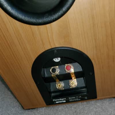Pair of Paradigm Monitor 11 v5 floor tower speakers Maple/Natural color image 21
