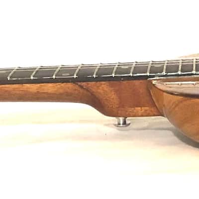 Acoustic/electric dulcimer guitars image 10