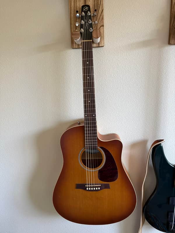 Seagull Entourage Rustic CW QI