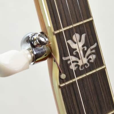 Washburn B10-A 5 String Banjo 2021 image 7