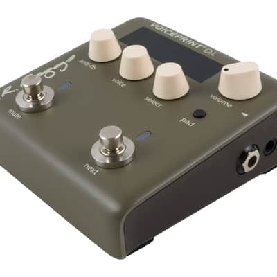 LR Baggs Voiceprint D.I. Acoustic DI and IR Pedal [USED] image 3
