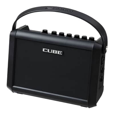 Roland CUBE Street Mini Multi-Instrument Battery Amplifier image 1