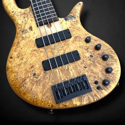 Elrick EVO Gold 5 String Horse Chestnut 2024 - Natural image 4