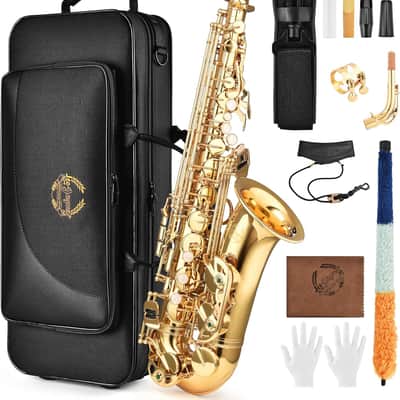 Leo Jaymz Eb Alto Saxophone - One-Piece Body or Neck Construction, H68 Brass, with Thickened Travel Bag - Gold image 1