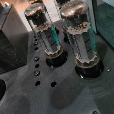 VTL MB-125 COPPIA FINALI MONO MONOBLOCK VALVOLARI TUBE POWER AMP VTL- MB125 Silver image 9