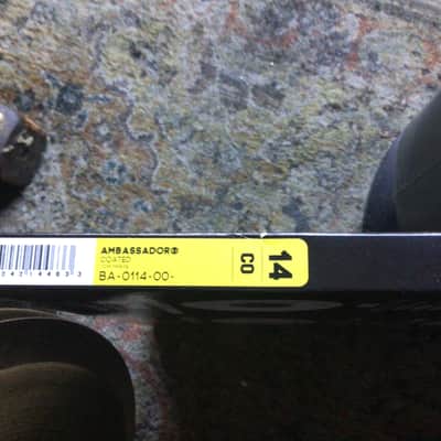 Remo Ambassador 14 2024 - Coated image 1