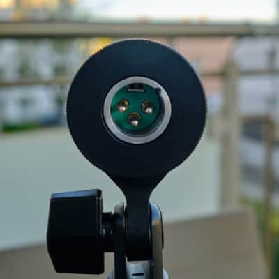 Shure KSM313 / NE 2015 image 4