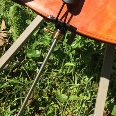 Tenor Violin (half-size cello tuned GDAE) image 12