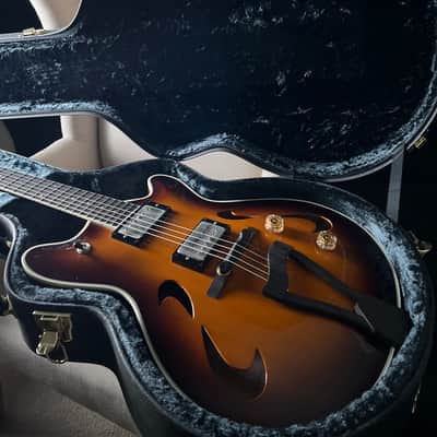 T's Arc Jazz Hollowbody Archtop image 15