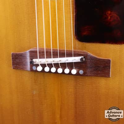 Epiphone 1966 FT-45 Cortez image 13