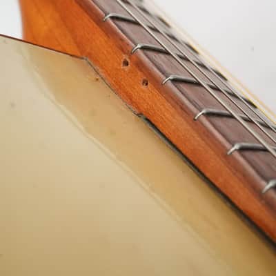 Epiphone Ritz 1944 image 11
