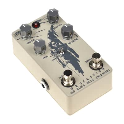 Procession Reverb Old Blood Noise Endeavors image 6