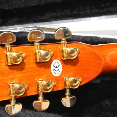 Zager Zad-80ce acoustic electric guitar cutaway w/ Zager Case image 16