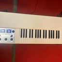 Mellotron M4000D Mini