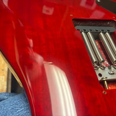 PRS SE Custom 24 (USED) image 9