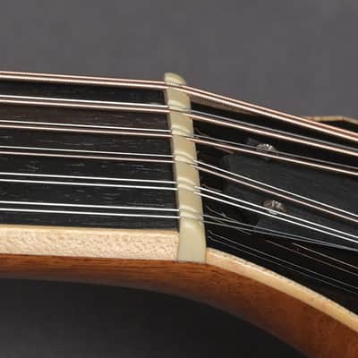Taylor 858 12-String 2015 image 10